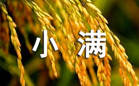 小滿節(jié)氣文案(精選200句)