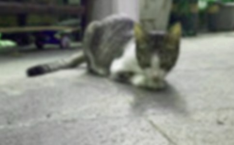 �ɐ۵�С؈���ļ��ϣ�15ƪ��