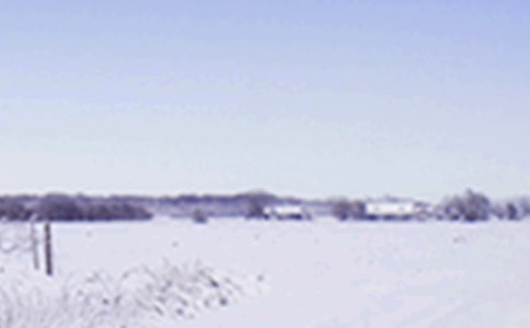 小雪飄飄詩句