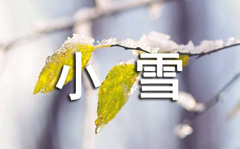 小雪的現(xiàn)代詩(shī)歌