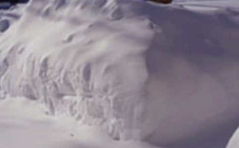 ������ѩ�ĺ����Y(ji��)