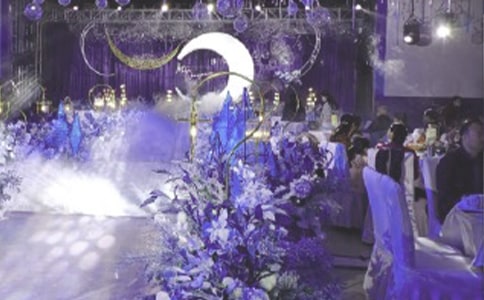 ɭ���������