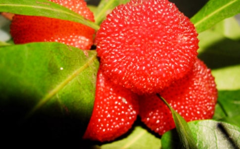 �ɗ�÷���ĺϼ�[15ƪ]