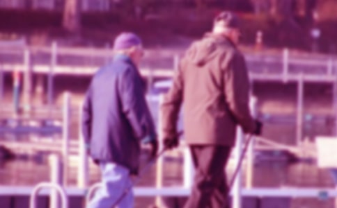 《爺爺和小樹》的教學(xué)隨筆