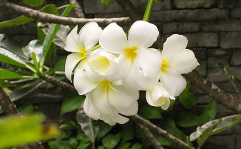 ҹ����С�W��400������