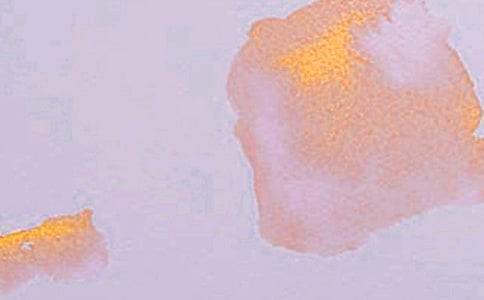 ë������������Փ�c��(d��ng)�����W(xu��)ˇ�g(sh��)��(sh��)�`����x����(x��)����