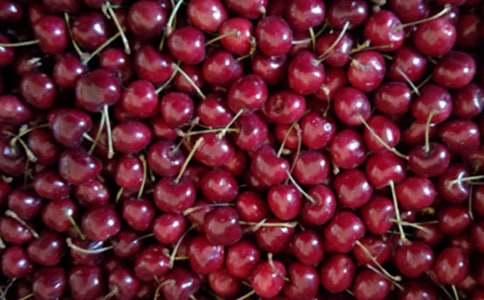 ժ��������
