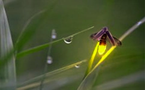 �茑Ξ���x�ă�(y��u)������