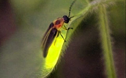 Ξ���xȤԒ����