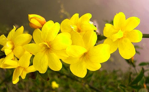 ��ϲ�g��ӭ��������
