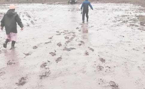 ���������YԴ�����F�����