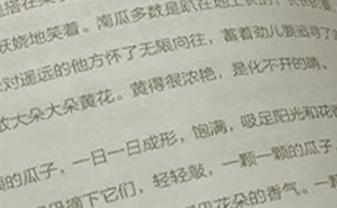 五年級語文暑假作業(yè):句子練習(xí)參考