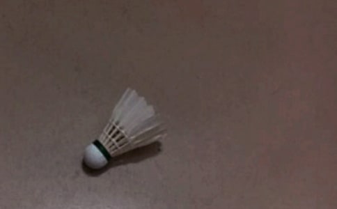 打羽毛球初中隨筆