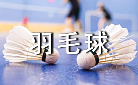 打羽毛球周記(精選28篇)