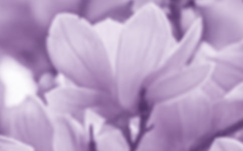 ���������m������ͨ��(15ƪ)