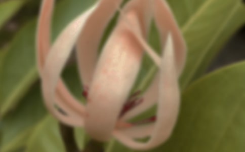 ���˵����m�������S�P