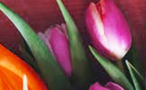 �p����������5ƪ����Ʒ��
