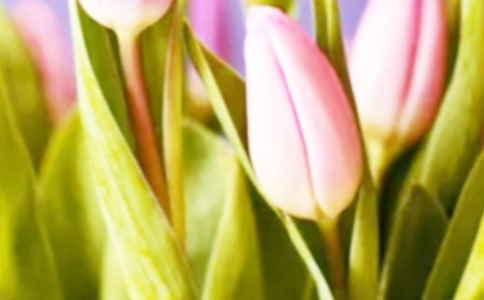 �N����������