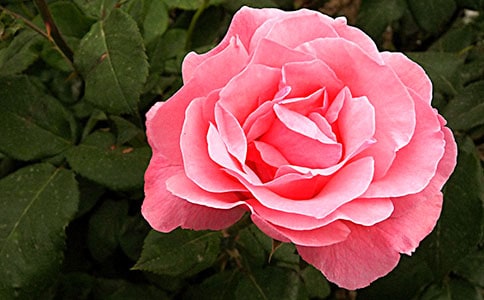 ����䛾��x