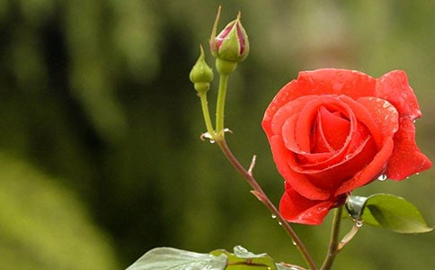 ������?ji��ng)?l��)־����䛾��x