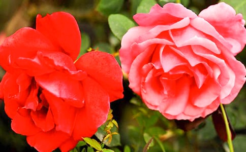 �^���¼�����ӛ�����x23ƪ��