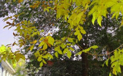 【推薦】早安共勉句子短信48句