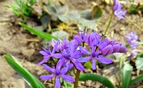 簡短溫馨早安文案匯總200句精選