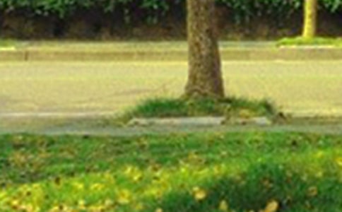 【推薦】早安共勉句子QQ28句