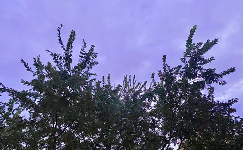 �����簲�������QQ