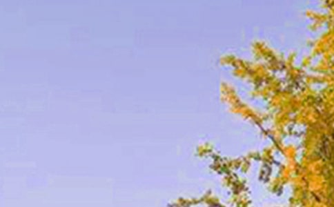 �簲���Z(y��)�������\��