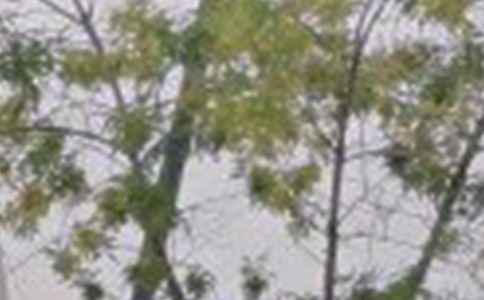 早安共勉句子48條