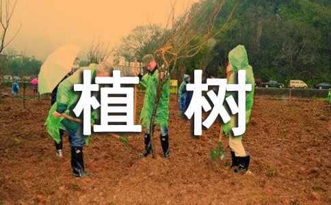 �̿ư桶�҂�?n��i)�ֲ�䡷�Ľ̌W(xu��)�O(sh��)Ӌ�����x12ƪ��