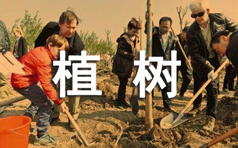 �����]�D��ֲ�䆖�}���̰�
