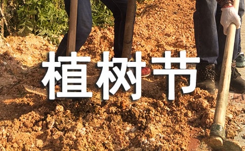 關(guān)于植樹節(jié)多種樹的經(jīng)典說說