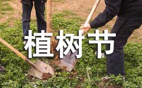 ֲ�九(ji��)��ӽ̰���ͨ��14ƪ��