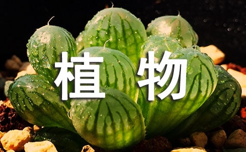 植物詩(shī)歌