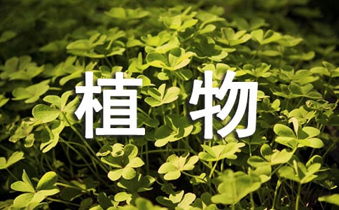 有關(guān)植物的詩歌(精選20首)