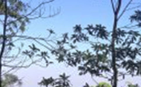 �P(gu��n)������õă�(y��u)�����ӣ����x75�䣩