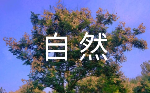 ���c��Ȼ�ĺ��C���ģ�ͨ��20ƪ��