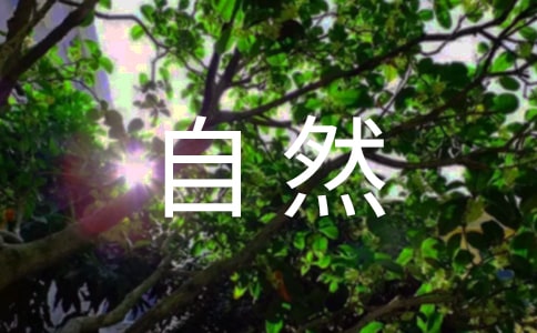 ������Ȼ���Z(y��)�ԡ���(y��u)��̰���ͨ��18ƪ��