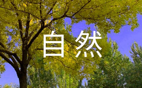 ����Ȼ���Z���n����(n��i)��