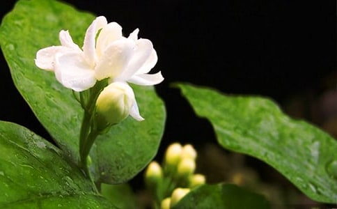 �����򻨡��Ľ̌W(xu��)�O(sh��)Ӌ(j��)�����x18ƪ��