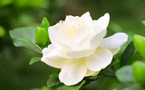 �d�ӻ��_����(��Ʒ)
