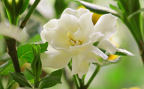 �d�ӻ��_����15ƪ����(y��u)�㣩