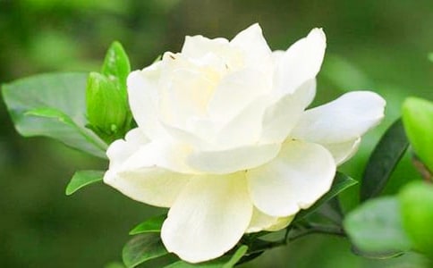 �d�ӻ��_���ġ�����15ƪ��