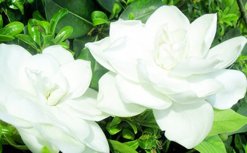����Ʒ���d�ӻ�������11ƪ