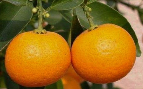 ���ӵ��������ģ����x23ƪ��