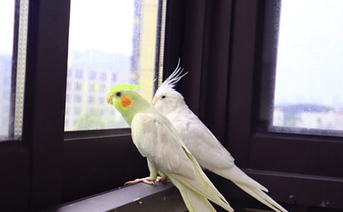 �Ҽҵ�С�W�^���ă�(y��u)�x[5ƪ]