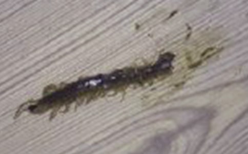 ����w������򼸂��