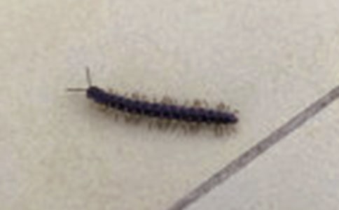 �i���������i�Z